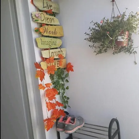 House Happy *